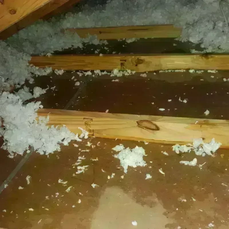 Attic Water Damage in Amidon, ND